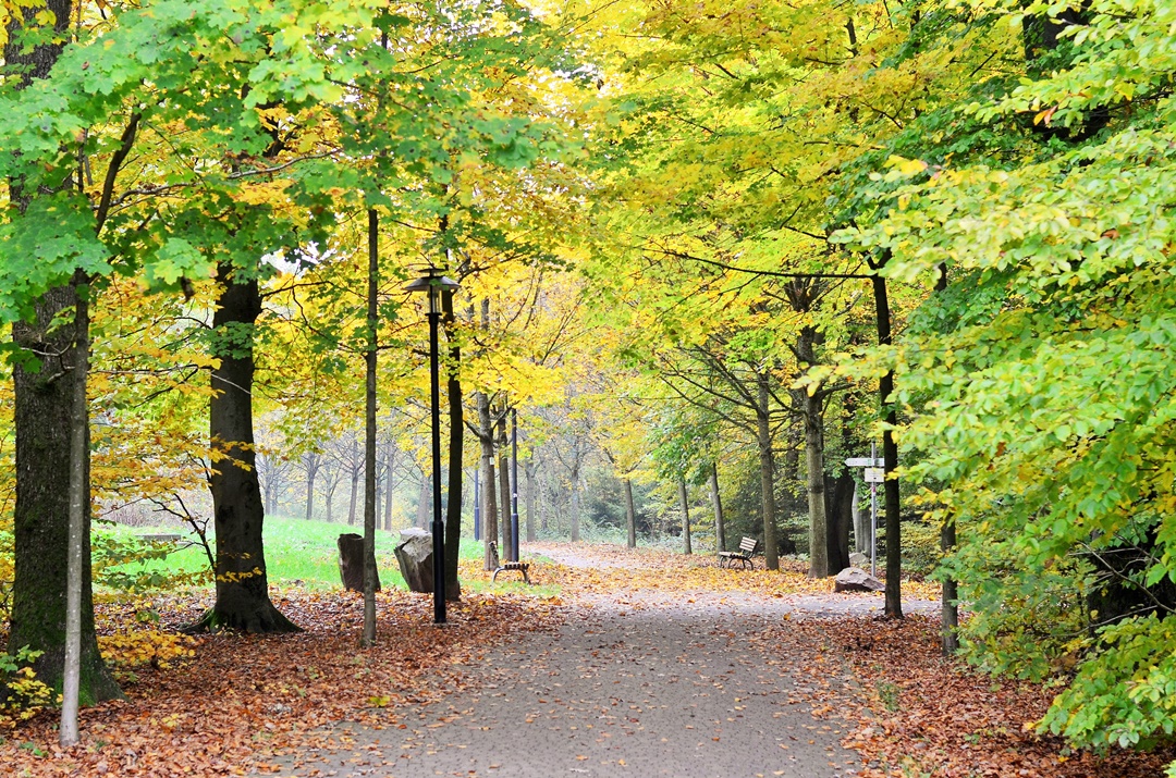 Saarschleife_Saarland_Saarland im Herbst_Herbstreise_Bullitour_Herbst in Deutschland_Reiseblog Saarland_Deutschlandreise_Saarschleife im Herbst_Annanikabu (2)