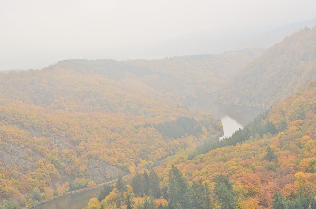 Saarschleife_Saarland_Saarland im Herbst_Herbstreise_Bullitour_Herbst in Deutschland_Reiseblog Saarland_Deutschlandreise_Saarschleife im Herbst_Annanikabu (8)